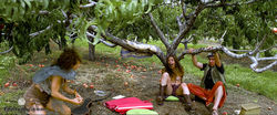 Morgan Taylor Campbell nude in The Orchard in 1080p HD resolution