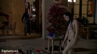 Sasha Grey's full frontal nude bush scene by the pool in Entourage s07e06 Hair